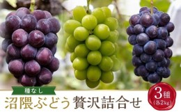 【ふるさと納税】《期間限定》3種類の沼隈ぶどう贅沢詰合せ3種各2kg(ピオーネ・シャインマスカット・ニューベリーA) 合計3箱（種なし）【