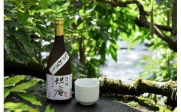 【ふるさと納税】No.170815-01 幻の銘酒！江川酒「坦庵」純米大吟醸（720ml）