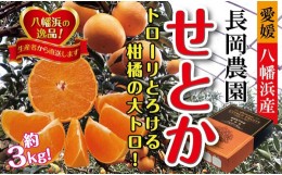 【ふるさと納税】2025年2月中旬発送開始　長岡農園の「せとか」約3kg  ＜C39-6＞【1262187】