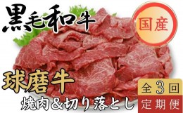 【ふるさと納税】球磨牛　くまもと黒毛和牛　焼き肉・切落しセット(年3回発送)