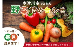 【ふるさと納税】＜京都産＞木津川市でとれた野菜詰め合わせを１２か月毎月送ります！ 野菜 やさい 詰め合わせ 定期便 野菜詰め合わせ 野