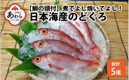 【ふるさと納税】【真鯛の頭付き】煮てよし焼いてよし！ 日本海産のどぐろ 5パック ／  高級魚 ビール 煮魚 焼き魚 おつまみ 魚介類 海の