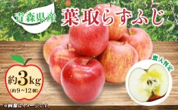 【ふるさと納税】りんご 葉取らずふじ 蜜入判定 3kg (約9〜12個) _A14【1085335】