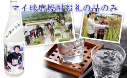 【ふるさと納税】球磨焼酎　【お礼の品：米焼酎4合瓶(常圧1本、減圧1本　計2本)】