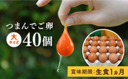 【ふるさと納税】【プリップリな卵黄！】つまんでご卵 40個セット 卵 たまご 糸島 / 緑の農園 [AGA011] ランキング 上位 人気 おすすめ 