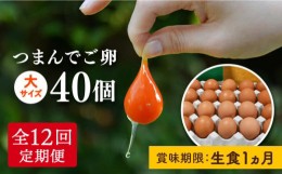 【ふるさと納税】【全12回定期便】つまんでご卵 40個 定期便 (月1回) 卵 たまご《糸島》【緑の農園】 [AGA014] ランキング 上位 人気 お