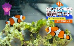 【ふるさと納税】カクレクマノミ引換券付き飼育セット（1ケ月死亡補償）「ボトルアクアリウムマリン2」