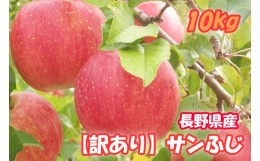 【ふるさと納税】MS18-24A りんご 訳ありサンふじ 10kg／2025年1月上旬〜2月上旬頃配送予定