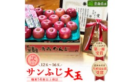 【ふるさと納税】りんご サンふじ 糖度14度以上保証 約5kg 訳あり 大玉 家庭用 【1111237】