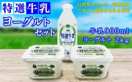 【ふるさと納税】特選牛乳・球磨の恵みヨーグルト(砂糖不使用1kg×2)セット【牛乳900ml：賞味期限　到着後6日】