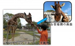 【ふるさと納税】【A19-23】大牟田市動物園をひとりじめ！　完全プライベート動物園オンラインツアー！