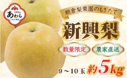 【ふるさと納税】【先行予約】《数量限定》新興梨 9〜10玉入 約5kg 歯ごたえ抜群！※2024年10月中旬より順次発送