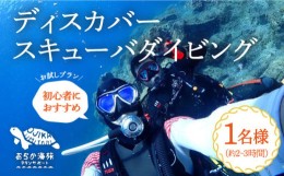 【ふるさと納税】【体験ダイビング】Discover Scuba Diving コース 1名様 [DBB001]  46000 46000円 