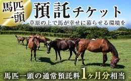 【ふるさと納税】y240 預託チケット！馬匹一頭の通常預託料1ヶ月分に相当するチケット(1枚) 馬 競走馬 競馬 乗馬 乗用馬 預託【NPO法人ホ