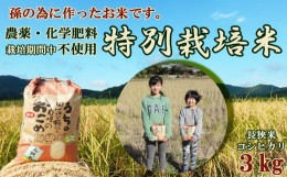 【ふるさと納税】孫のために作りました！田代農園の『特別栽培米』《玄米》３kg　[0010-0159]