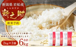 【ふるさと納税】【新米受付・令和6年産米】NA4101 岩船産新之助6kg