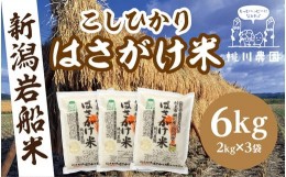 【ふるさと納税】【新米受付・令和6年産米】NB4040 新潟県村上市桃川産 特選コシヒカリ はさがけ米6kg