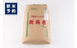 【ふるさと納税】【新米受付・令和6年産米】NG4005 新潟県村上市産 特別栽培米コシヒカリ玄米900kg