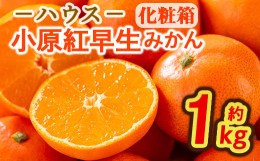 【ふるさと納税】＜期間限定！2024年6月下旬以降順次発送予定＞香川県産 ハウス小原紅早生みかん(約1kg/化粧箱) 【man072】【Aglio nero