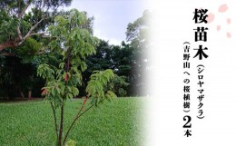 【ふるさと納税】桜苗木（シロヤマザクラ）2本（吉野山への桜植樹）