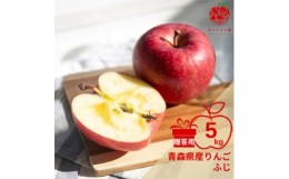 【ふるさと納税】りんご ふじ 約5kg (14〜20玉) 青森県産 贈答用＜先行受付12月より順次発送＞_A-841【1230241】