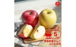 【ふるさと納税】りんご ふじ&王林 約5kg (14〜20玉) 贈答用 ＜先行受付　12月より順次発送＞_A-842【1231723】