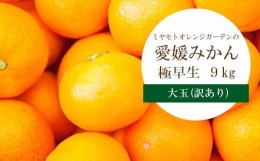 【ふるさと納税】西宇和地区産 愛媛みかん大玉9kg(極早生)＜訳あり＞ミヤモトオレンジガーデン＜C25-74＞【1148854】