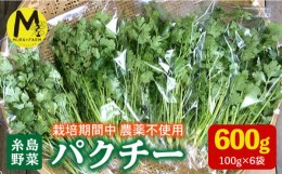 【ふるさと納税】【先行予約販売】糸島産 パクチー 600g ( 100g × 6袋 )  糸島市 / MURA FARM [AFD001]