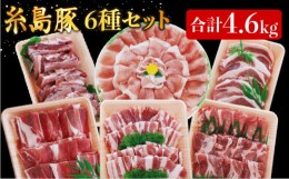 【ふるさと納税】合計4.6kg！糸島豚 食べ尽くし セット ( とんかつ / 肩ロース / しゃぶしゃぶ / 豚バラ / スペアリブ / 小間切れ ) 糸島