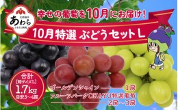 【ふるさと納税】【先行予約】10月特選 ぶどうセットL 1.7kg以上（3〜4房）／ 葡萄 シャインマスカット 完熟 ゴールデン シャイン 品種 