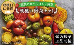 【ふるさと納税】朝採れ！ 糸島 野菜 セット （ 10品 前後 ） 《糸島》【オーガニックナガミツファーム】 [AGE003]