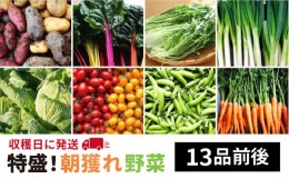 【ふるさと納税】【 福岡県 糸島産 】 朝採れ 野菜 セット （ 13品 前後 ） 《糸島》【オーガニックナガミツファーム】 [AGE023]