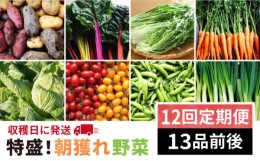 【ふるさと納税】【全12回定期便】☆特盛り！ 産地直送 ☆ 福岡県 糸島産 朝採れ 野菜 セット（13品前後）《糸島》 【オーガニック ナガ