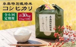 【ふるさと納税】【 6回 定期便 】 とくべつ の中の とくべつ 糸島 特別栽培米 5kg （ コシヒカリ ）《 糸島 》【株式会社やました】 [AR