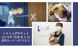 【ふるさと納税】トリミングチケット【犬15kgまで】撮影＆レザー迷子札付き【犬 ドッグ わんちゃん ペットトリミング チケット 体験】