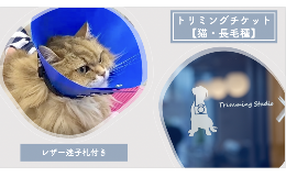 【ふるさと納税】トリミングチケット【猫長毛種】レザー迷子札付き【 犬 猫 ドッグ キャット ねこちゃん わんちゃん ワンちゃん ペットト