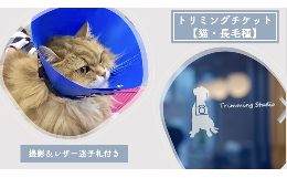 【ふるさと納税】トリミングチケット【猫長毛種】撮影＆レザー迷子札付き【 犬 猫 ドッグ キャット ねこちゃん わんちゃん ワンちゃん ペ