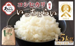 【ふるさと納税】【先行予約】【令和6年産新米】いっちょらい 精米 5kg ／ 福井県産 ブランド米 ご飯 白米 お米 コメ 新鮮 大賞 受賞 新