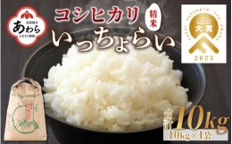 【ふるさと納税】【先行予約】【令和6年産新米】いっちょらい 精米 10kg×1袋 ／ 福井県産 ブランド米 ご飯 白米 お米 コメ 新鮮 大賞 受