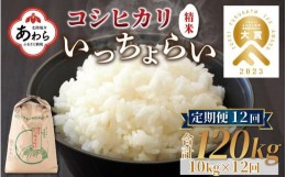 【ふるさと納税】【先行予約】【令和6年産新米】《定期便12回》いっちょらい 精米 10kg（計120kg） ／ 福井県産 ブランド米 コシヒカリ 