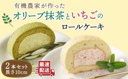 【ふるさと納税】【お中元対象】オリーブ リーフ の 抹茶 ＆ つぶつぶ 糸島 いちご ロール ケーキ 2本 セット《糸島》【わかまつ農園】 [