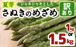 【ふるさと納税】＜先行予約！2024年6月上旬以降順次発送＞＜選べる容量＞夏芽！訳ありさぬきのめざめ (約1kg) 満足 アスパラガス 【man0