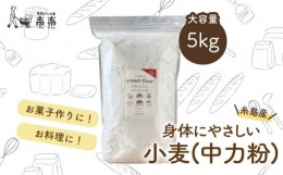 【ふるさと納税】【 糸島産 小麦 使用 】 伊都 の かおり ( 中力粉 ) 5kg 《糸島》 【天然パン工房楽楽】 【いとしまごころ】 [AVC062]