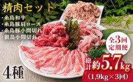 【ふるさと納税】【全3回定期便】牛肉 豚肉 鶏肉 日常使いの精肉セット 1,930g 4〜5人前 4種《糸島》【糸島ミートデリ工房】 [ACA197]