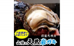 【ふるさと納税】旬もの　山陰の天然岩ガキ詰合せ(大きさにより5〜7個入)　牡蠣は下処理してお届けします【1114074】