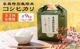 【ふるさと納税】【全3回定期便】とくべつの中のとくべつ 糸島 特別栽培米 3kg （ コシヒカリ ） 糸島市 / itoshimacco / 株式会社やまし