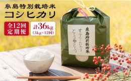 【ふるさと納税】【全12回定期便】とくべつの中のとくべつ 糸島 特別栽培米 3kg （ コシヒカリ ）糸島市 / itoshimacco / 株式会社やまし