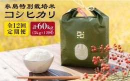 【ふるさと納税】【全12回定期便】とくべつの中のとくべつ 糸島 特別栽培米 5kg （ コシヒカリ ）《糸島》【itoshimacco / 株式会社やま