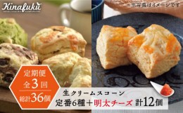 【ふるさと納税】【全3回定期便】 定番 スコーン + 明太 チーズ スコーン 計 12個 セット 糸島市 / スコーン専門店キナフク 焼き菓子 焼