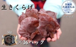 【ふるさと納税】生きくらげ　50g×36パック（茨城県共通返礼品／鹿嶋市産）